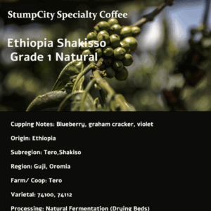 Ethiopian Shakisso Specialty Coffee