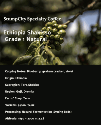 Ethiopian Shakisso Coffee