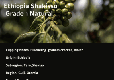 Ethiopian-Blueberry