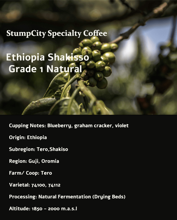 Ethiopian Shakisso Coffee