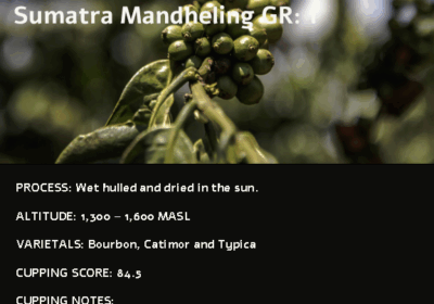 sumatra